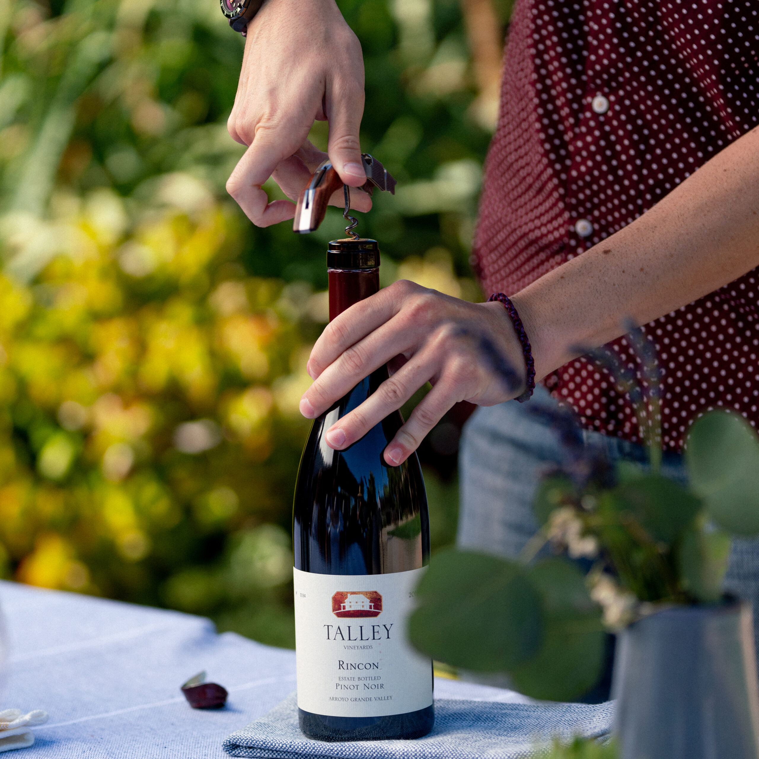 https://talleyvineyards.com/wp-content/uploads/2020/08/20_04_TALLEY_ONSITE001384-scaled.jpg