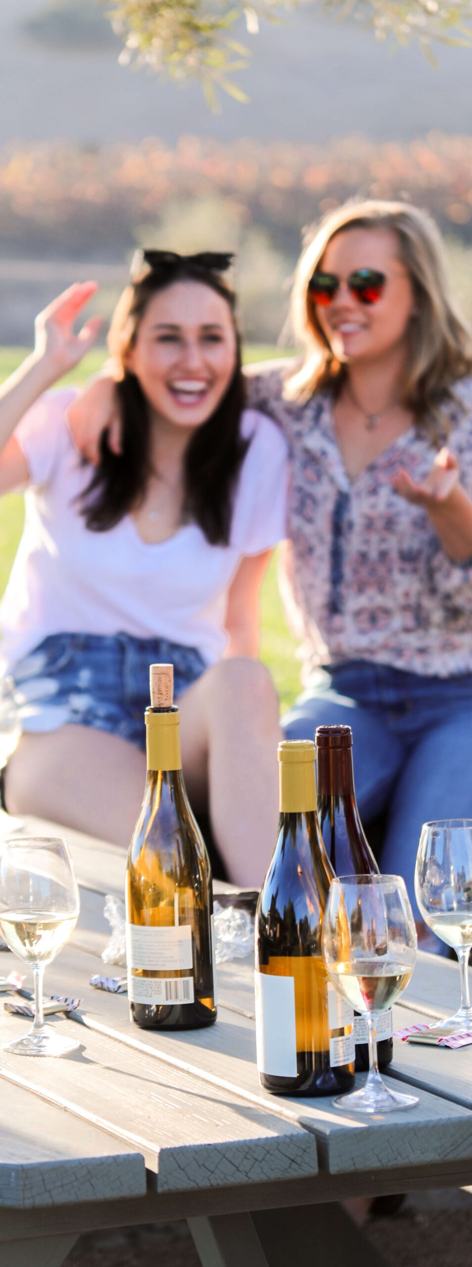 https://talleyvineyards.com/wp-content/uploads/2020/09/IMG_0406-scaled.jpg